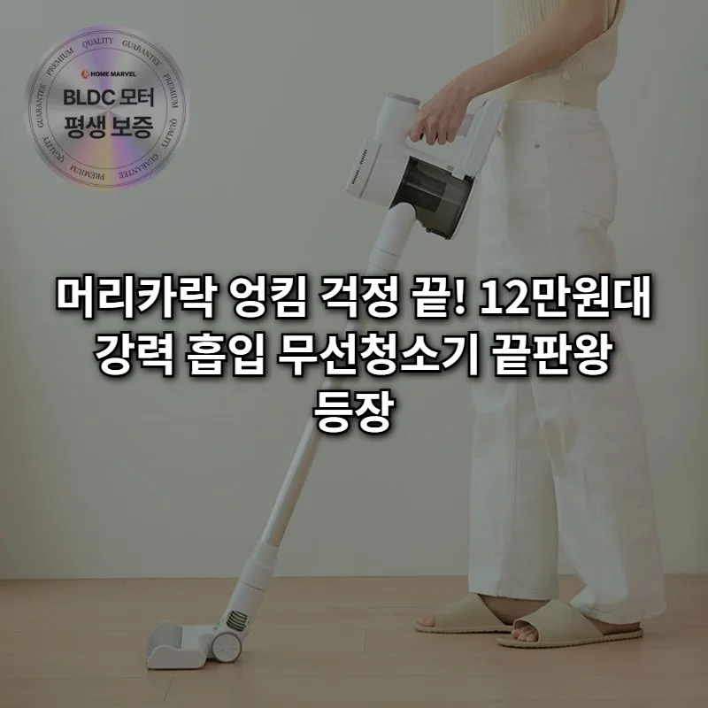 홈마블 차이슨 무선청소기, 머리카락 청소 후기